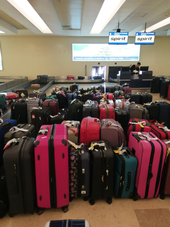 Costumer Services - flights reception