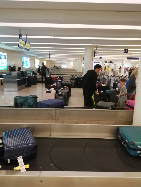 Costumer Services - flights reception